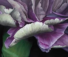 Traute ZiegenfuA, dianthus I oil 60x70cm KFjpg